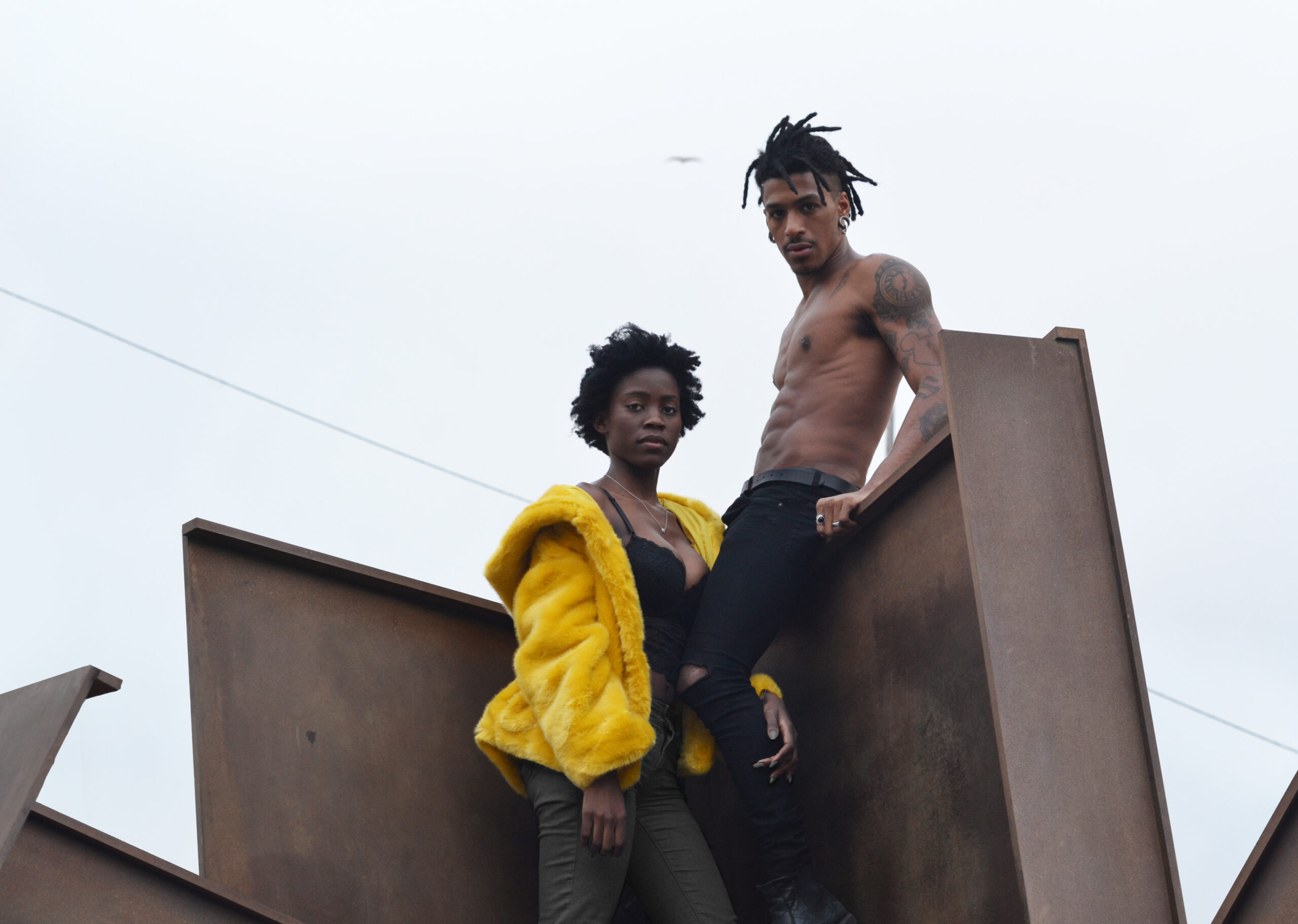 dsc 0893 copie copie